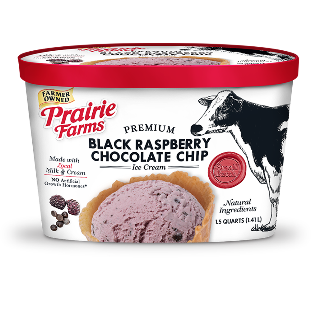 Premium Small Batch Ice Cream, Black Raspberry Chocolate Chip